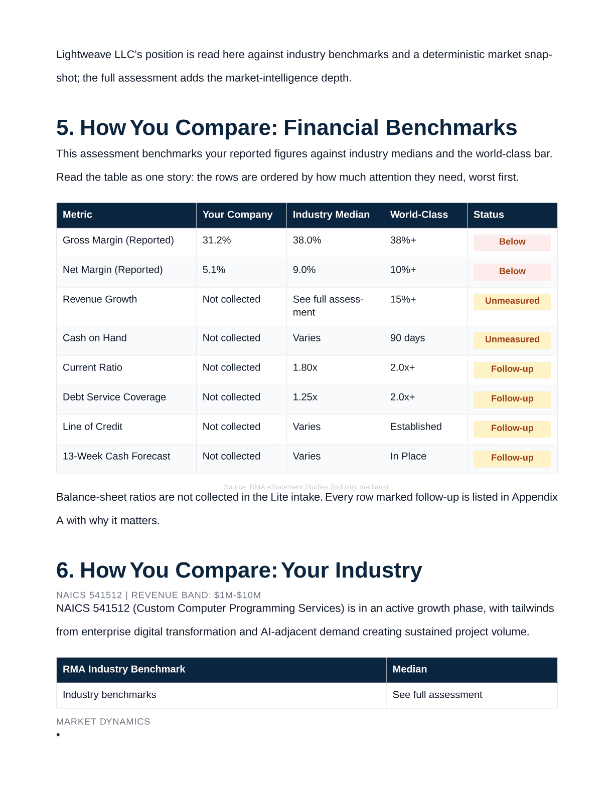 Financial benchmark table and the seven-domain diagnostic from the sample